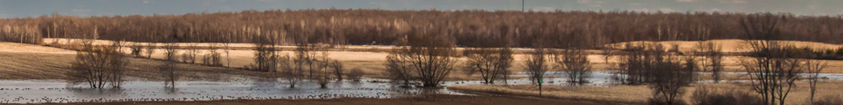 Flooding along the banks of the Raisin River<br>Photo credit: Kathy Laroche